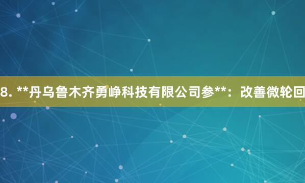 8. **丹乌鲁木齐勇峥科技有限公司参**：改善微轮回